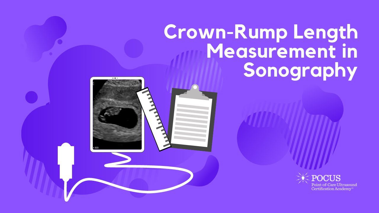 CrownRump Length Measurement in Sonography POCUS Resources & Case
