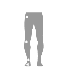 Musculoskeletal Lower Extremity