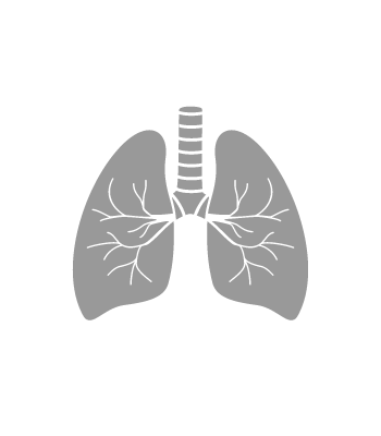 Lungs