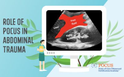 Role of POCUS in Abdominal Trauma