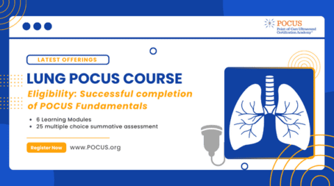 POCUS Lung – Introduction to A-lines and B-lines | Point-of-Care ...