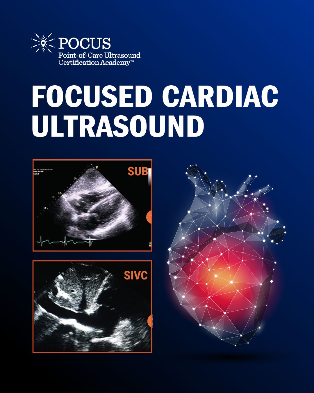Cardiac infographic