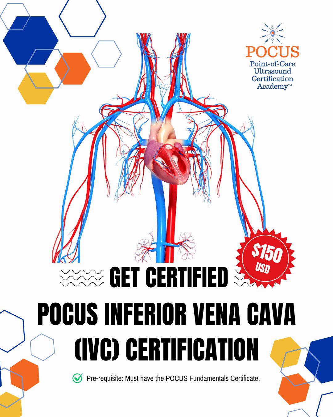 IVC cert graphic