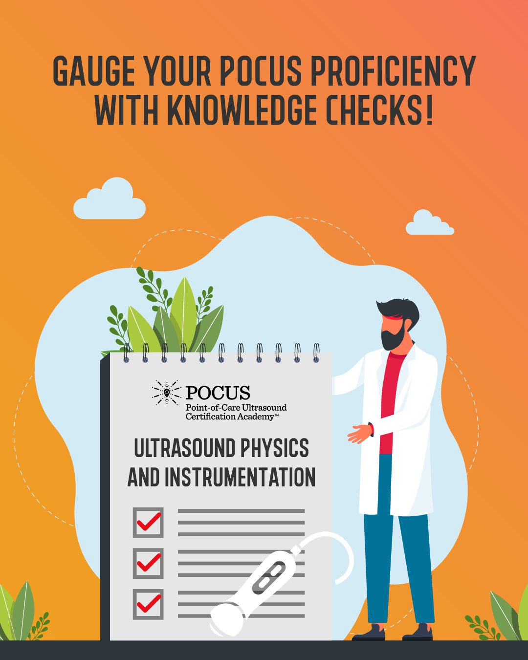 Ultrasound knowledge check graphic