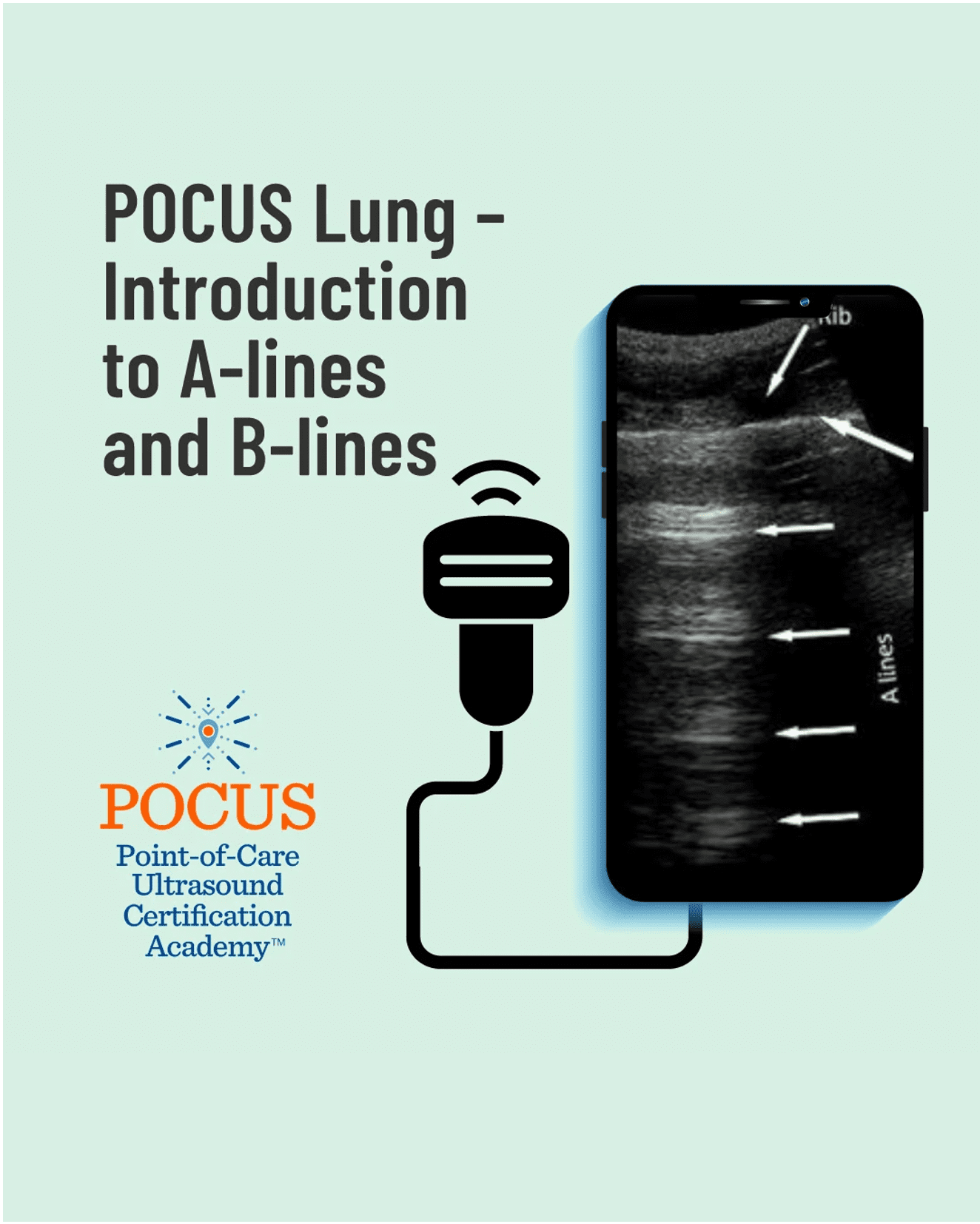 Lung blog graphic