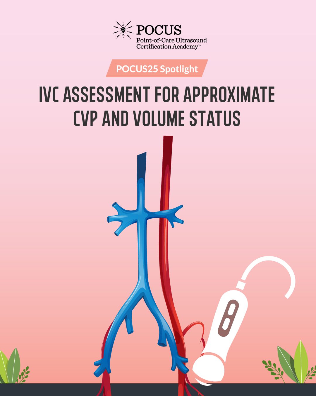 POCUS25 practice domain graphic