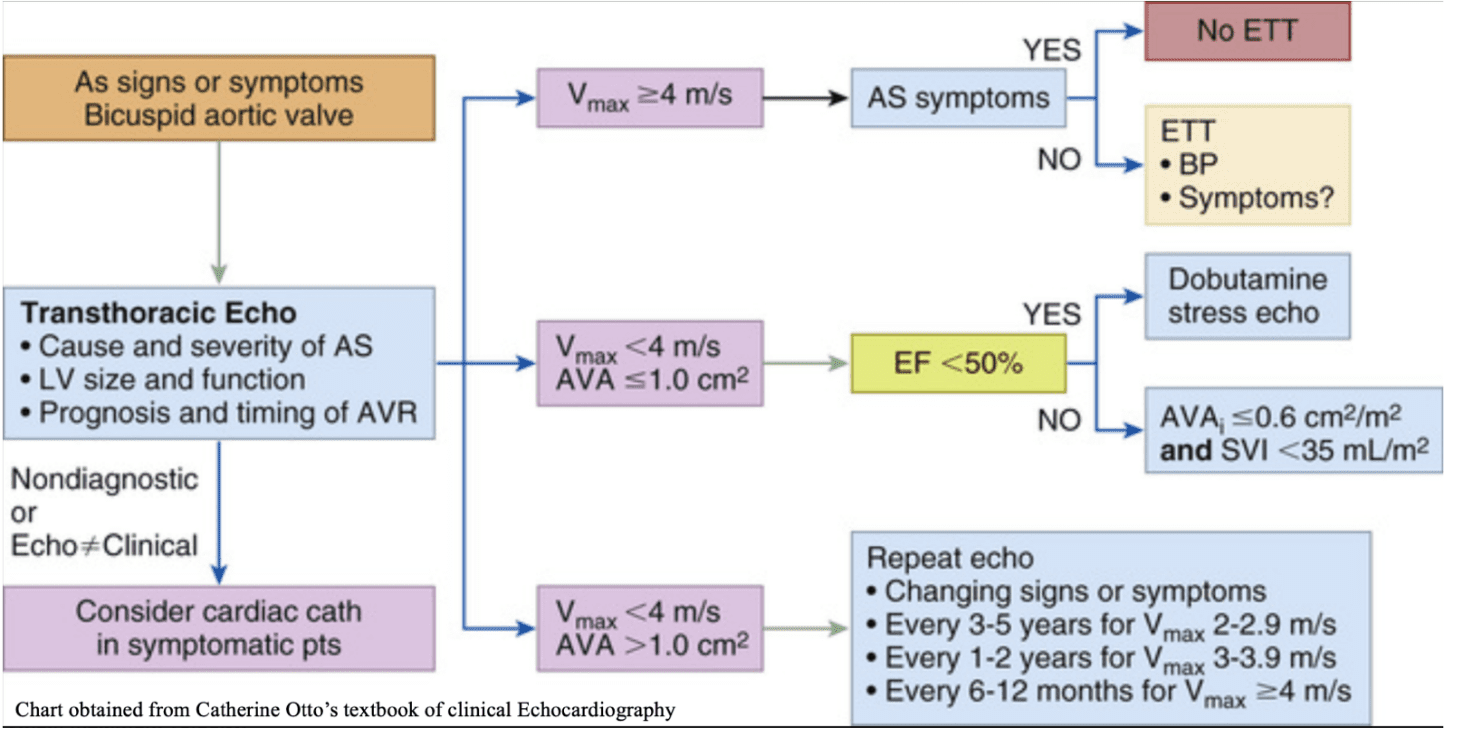 Aortic Stenosis Management Flow Chart