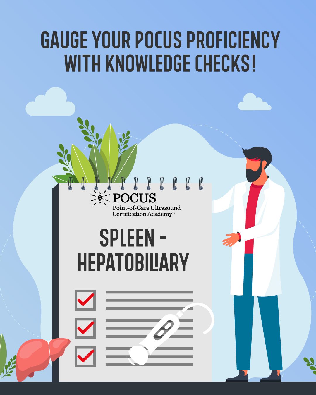 Hepatobiliary spleen knowledge check