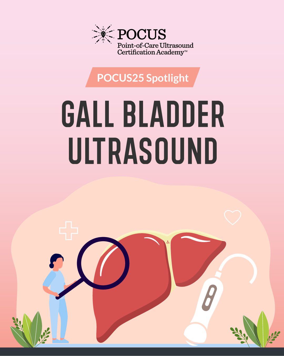 POCUS domain gall bladder graphic