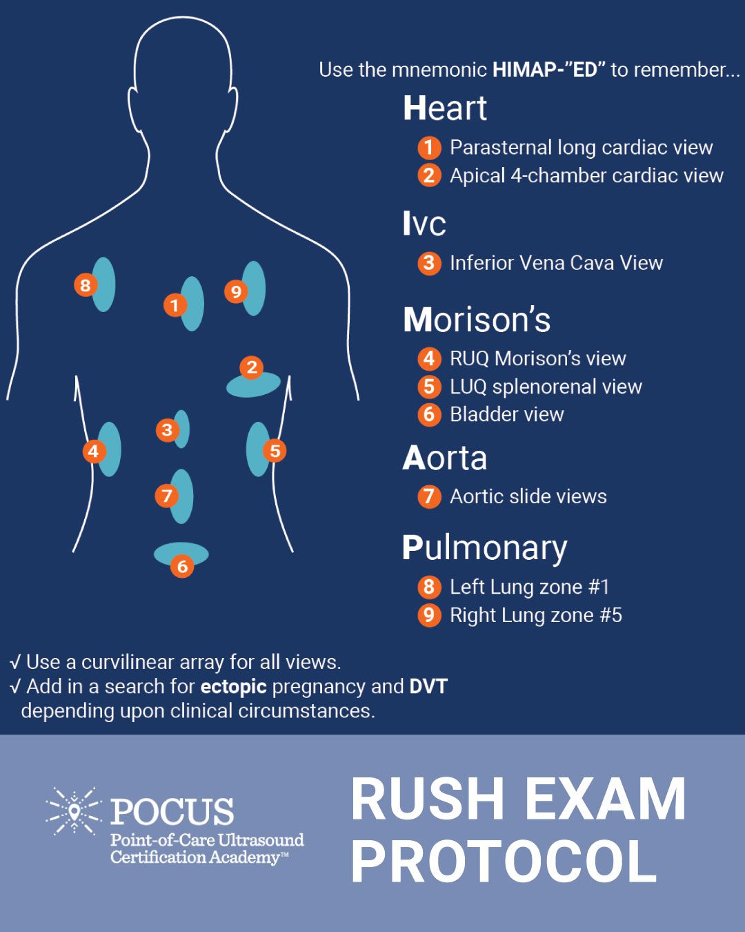 RUSH protocol infographic