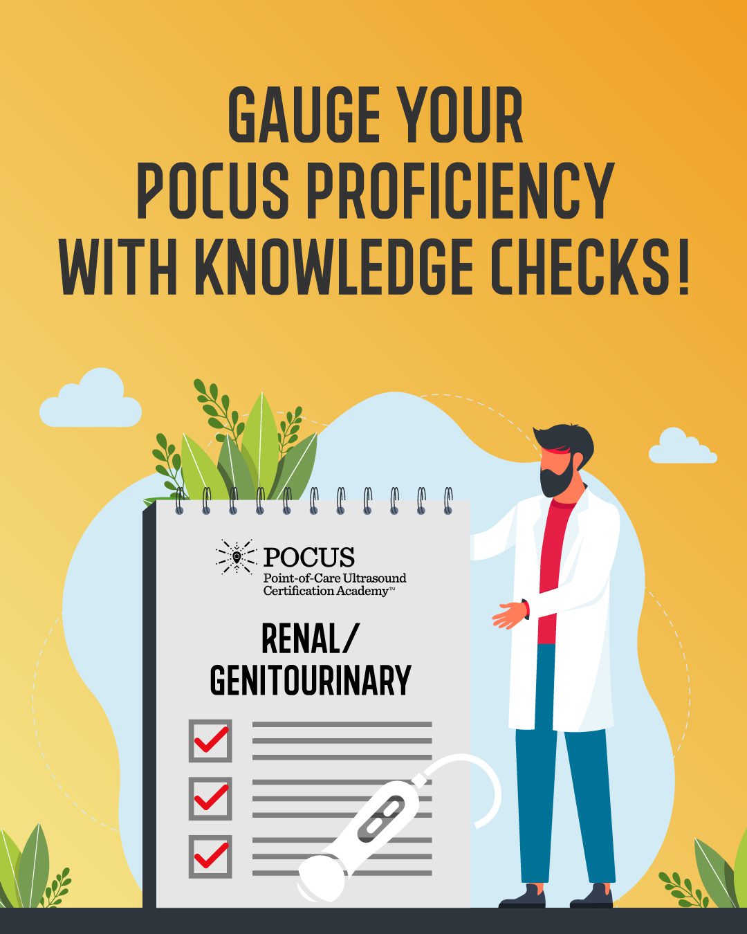 Renal knowledge check graphic