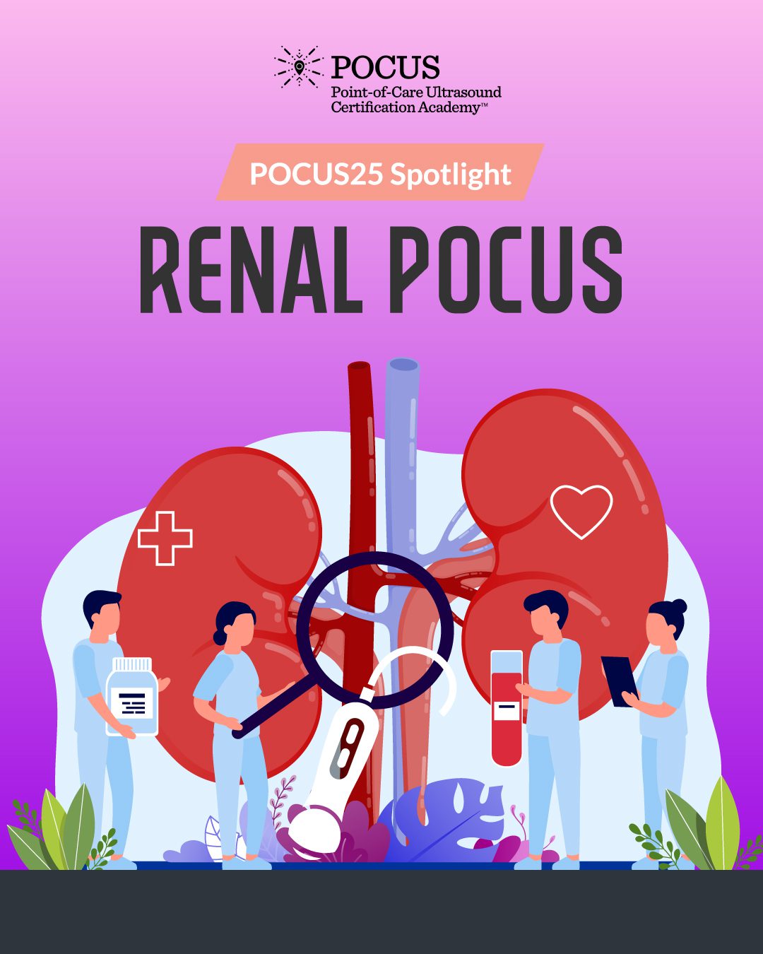 POCUS25 spotlight renal graphic