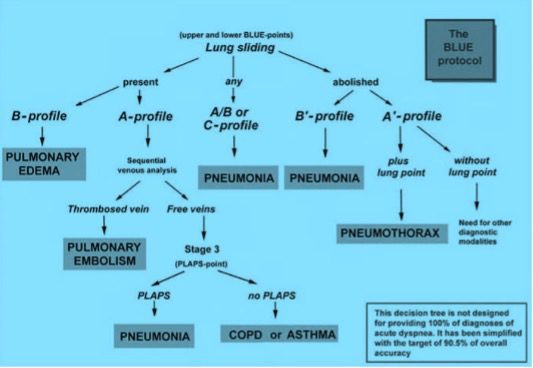 Graphic schematic of the BLUE protocol
